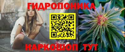 бошки Дубна