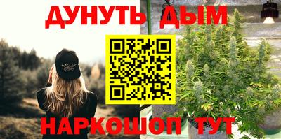 бошки Дубна