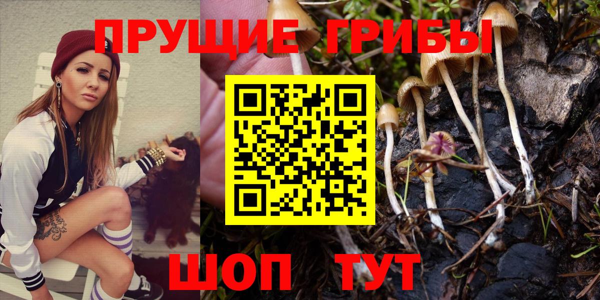 Галлюциногенные грибы MAGIC MUSHROOMS  Вход с VPN  Псилоцибиновые грибы мухоморы  Москва 